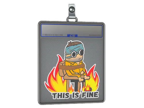 Sticker Slab | This Is Fine (H)