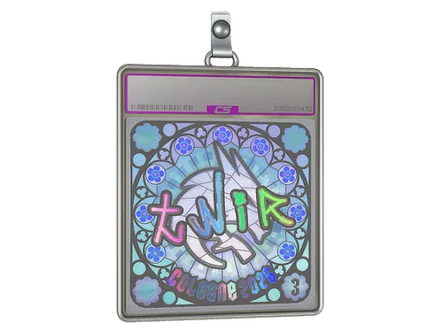 Sticker Slab | tN1R (Holo, Ranked) | Cologne 2026