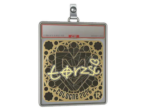 Sticker Slab | torzsi (Gold, Ranked) | Cologne 2026