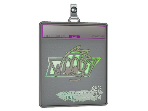 Sticker Slab | WOOD7 (Holo) | Antwerp 2022