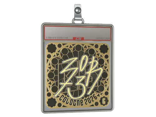 Sticker Slab | zorte (Gold, Ranked) | Cologne 2026