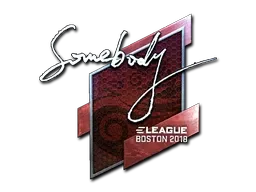 Sticker | somebody (Foil) | Boston 2018