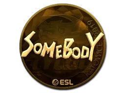 Sticker | somebody (Gold) | Katowice 2019