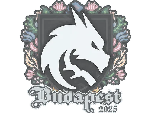 Sticker | Team Spirit | Budapest 2025
