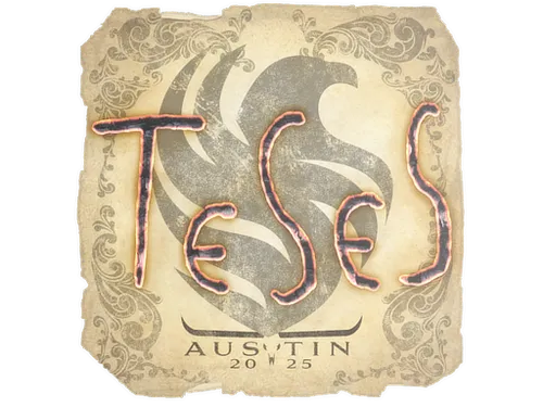 Sticker | TeSeS | Austin 2025
