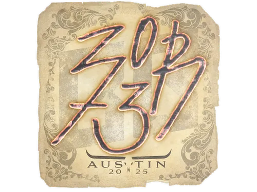 Sticker | zorte | Austin 2025