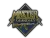 Patch | Metal Master Guardian