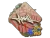 Sticker | ANNIHILATION | Rio 2022