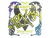 Sticker | apEX (Holo, Champion) | Austin 2025