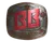 Sticker | BetBoom (Foil) | Austin 2025