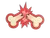 Sticker | Boner Snap