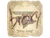Sticker | broky | Austin 2025
