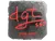 Sticker | dgt (Foil) | Austin 2025