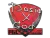 Sticker | Dosia | Krakow 2017