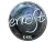 Sticker | erkaSt (Foil) | Katowice 2019