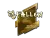 Sticker | FalleN (Gold) | Boston 2018