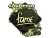 Sticker | fame (Gold, Champion) | Rio 2022