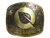 Sticker | FlyQuest (Gold) | Austin 2025