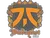 Sticker | fnatic | Budapest 2025