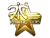 Sticker | Fnatic (Gold) | Cluj-Napoca 2015