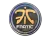 Sticker | Fnatic (Holo) | Cologne 2014