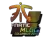 Sticker | Fnatic (Holo) | MLG Columbus 2016