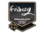 Sticker | friberg | Cluj-Napoca 2015