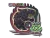 Sticker | FURIA (Holo) | 2020 RMR