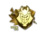 Sticker | G2 Esports (Gold) | Cologne 2016