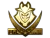Sticker | G2 Esports (Gold) | Krakow 2017