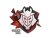 Sticker | G2 Esports (Holo) | Cologne 2016