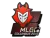 Sticker | G2 Esports | MLG Columbus 2016