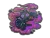 Sticker | Get Smoked (Holo)