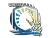 Sticker | Liquid (Foil) | 2020 RMR