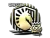 Sticker | Liquid (Gold) | 2020 RMR