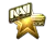 Sticker | Natus Vincere (Gold) | Cluj-Napoca 2015