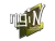 Sticker | ngiN | Boston 2018