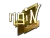 Sticker | ngiN (Gold) | Boston 2018