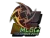 Sticker | Ninjas in Pyjamas (Holo) | MLG Columbus 2016