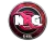 Sticker | NRG (Foil) | Katowice 2019