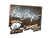 Sticker | pashaBiceps (Foil) | Cologne 2015