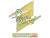 Sticker | Patti (Holo) | Copenhagen 2024