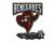 Sticker | Renegades (Glitter) | Antwerp 2022