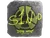 Sticker | s1n (Foil) | Austin 2025