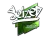 Sticker | seized (Foil) | Boston 2018