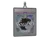 Sticker Slab | FalleN (Holo) | Austin 2025