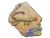 Sticker | Snappi (Holo) | Rio 2022