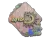Sticker | syrsoN (Holo) | Rio 2022