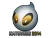 Sticker | Team Dignitas | Katowice 2014