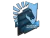 Sticker | Team Liquid | Boston 2018
